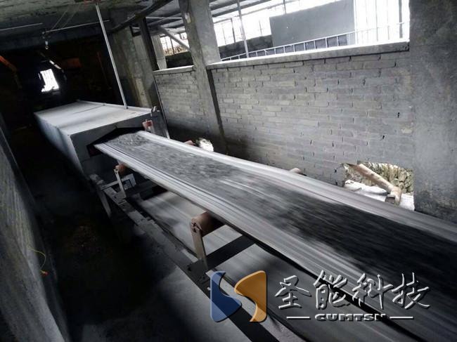 圣能科技<a href='http://www.413200.cn' target='_blank'><u>電子皮帶秤</u></a>項(xiàng)目